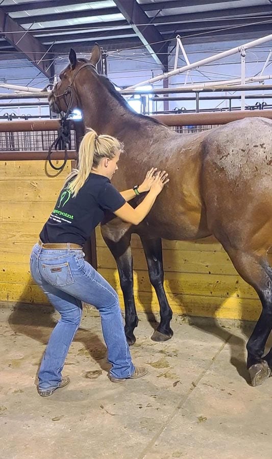 Kristi-Coulthard-massaging-horse